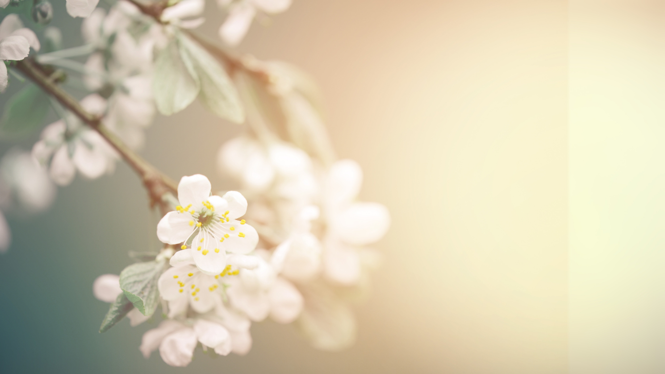 Compoz Paris - Scent Design